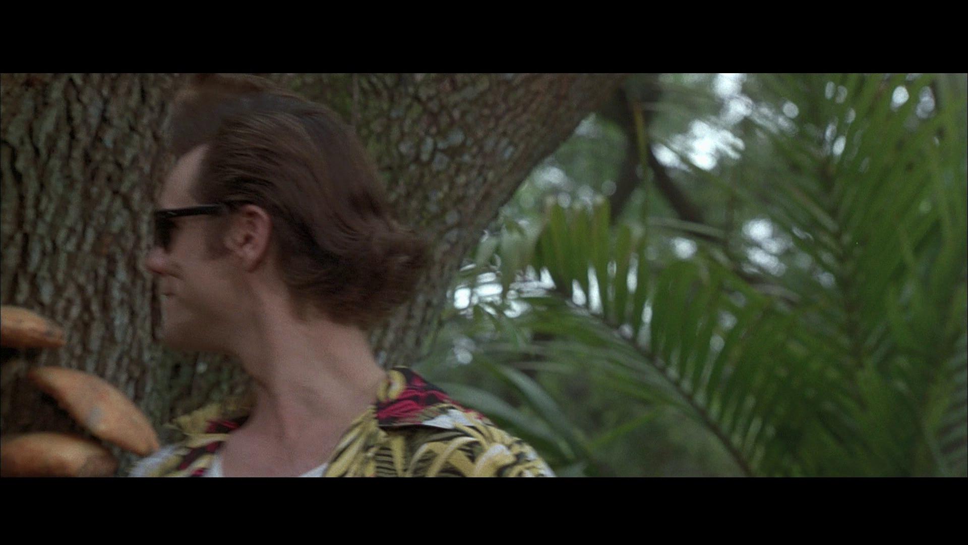 ace ventura pet detective when nature calls full movie